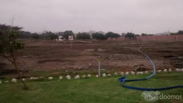 VENTA DE LOTES DE 1500 Y 2500 M2 PACHACAMAC - CASA HUERTA — foto 3