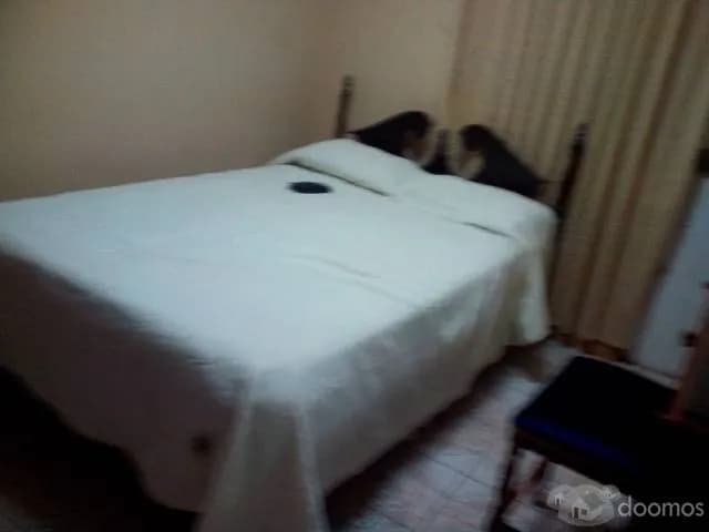 Vendo Casa Remigio Silva — foto 1
