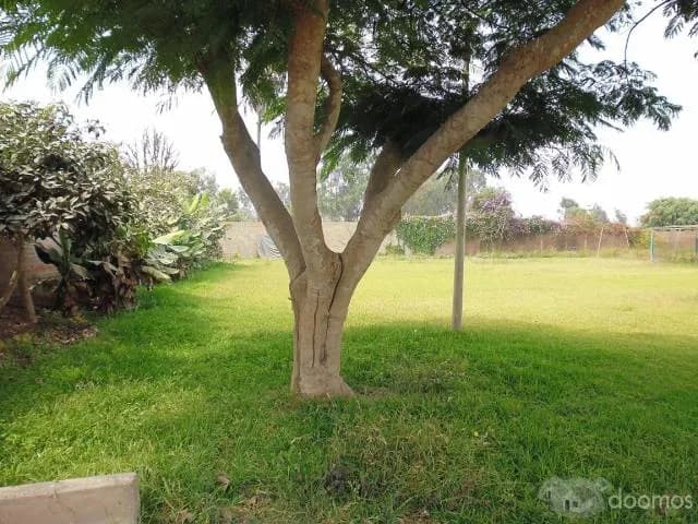 PACHACÁMAC – CASABLANCA LINDO TERRENO 5,101.475 M2 — foto 3