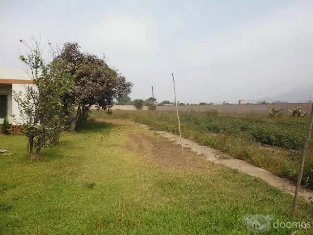 PACHACÁMAC – CASABLANCA LINDO TERRENO 5,101.475 M2 — foto 5