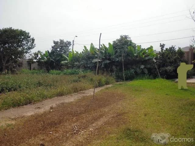 PACHACÁMAC – CASABLANCA LINDO TERRENO 5,101.475 M2 — foto 6