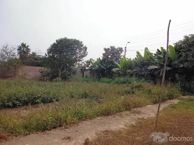 PACHACÁMAC – CASABLANCA LINDO TERRENO 5,101.475 M2 — foto 7