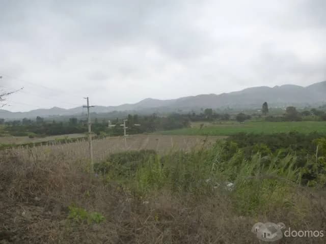 TERRENO DE 16,900 M2 EN MALA — foto 1