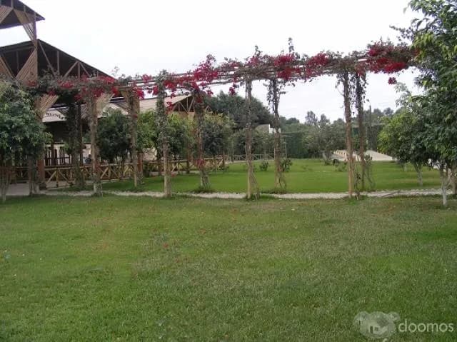 ALQUILER DE LOCAL EN PACHACAMAC PARA EVENTOS — foto 5