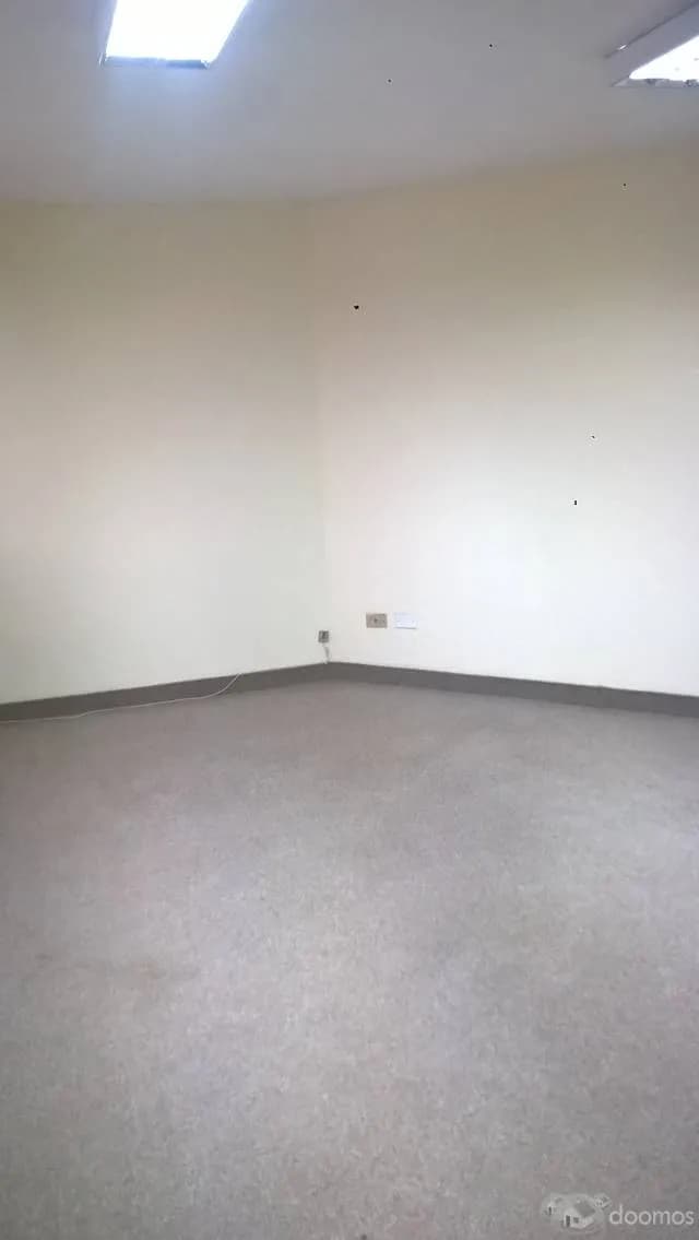 Alquiler de Oficina 150 m2 en Surco 1700 dólares — foto 1