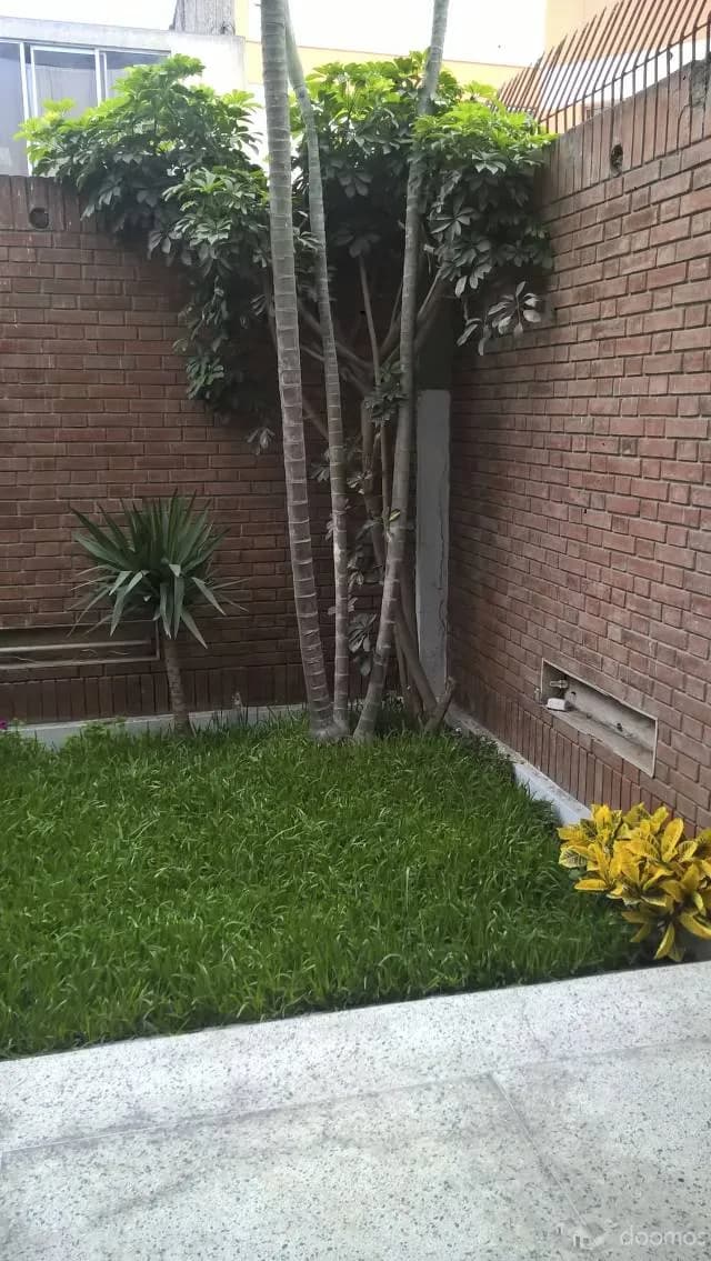 Alquiler de oficina 200m2 Surco a 1550 dólares — foto 5