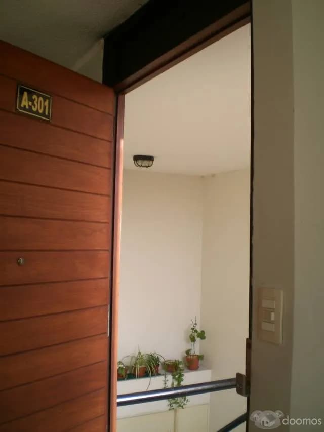 DEPARTAMENTO PARA PROFESIONAL O UNIVERSITARIO — foto 3