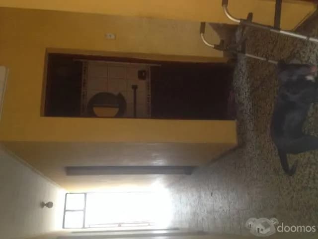 Casas en Venta - Av. Las Flores De Primavera 1363 Sjl — foto 5