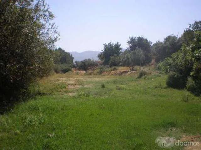 REMATO TERRENO EN PACHACAMAC — foto 1