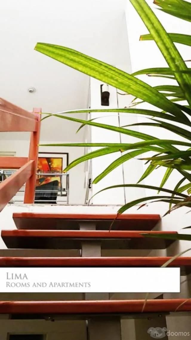 Alquilo HABITACIÓN para ESTUDIANTE en Dúplex de Estreno — foto 5