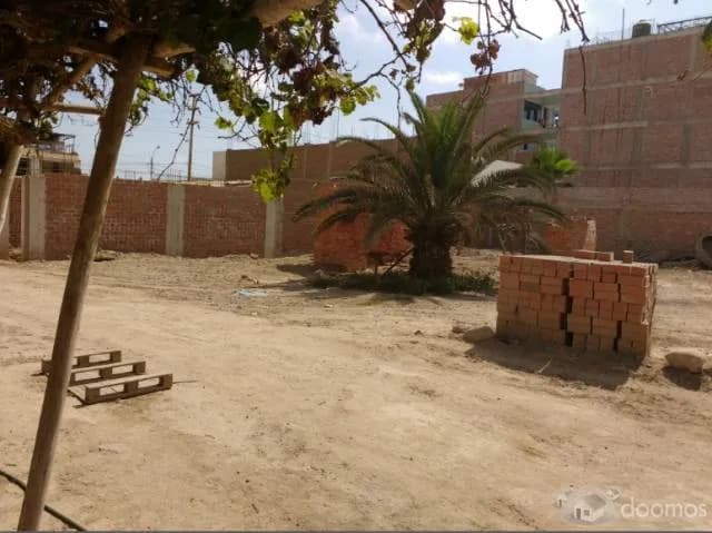 TERRENO FRENTE A MEGA-PLAZA DE CAÑETE — foto 6