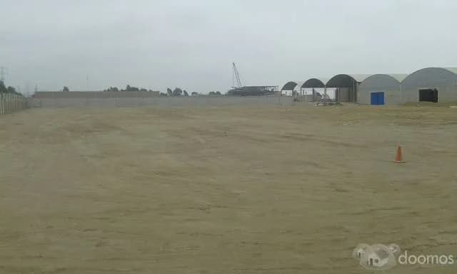 SE ALQUILA TERRENO DE 9800 EN LURIN-SUMAC PACHA — foto 5