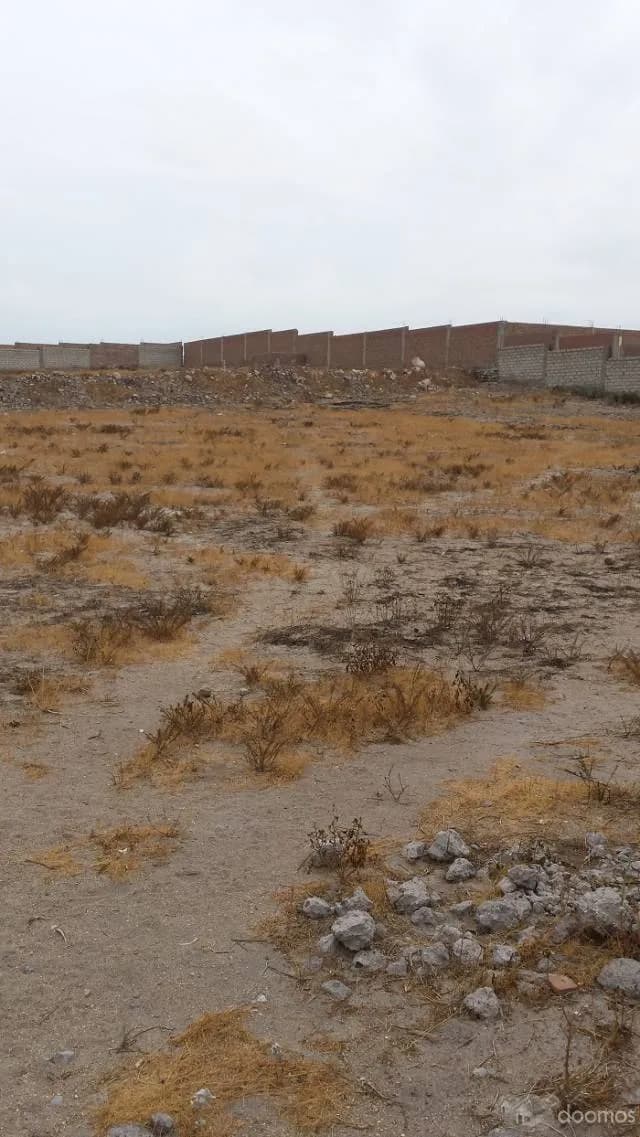 Se remata terreno en umapalca 33 dolares m2 — foto 1