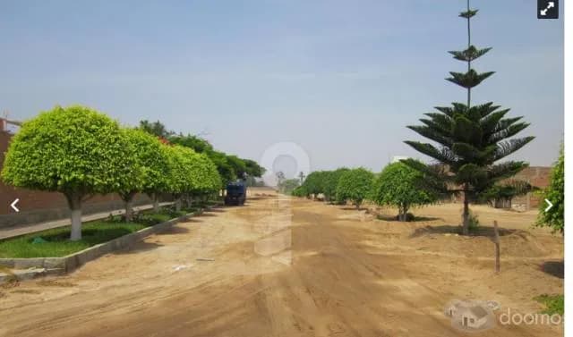 VENTA TERRENOS EN LA PLANICIE DEL MIRADOR CHILCA — foto 1