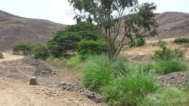 LOTES EN VENTA - PACHACAMAC — foto 3