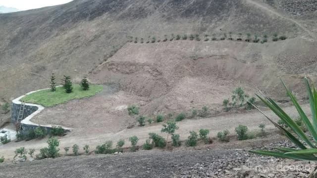 TERRENOS PACHACAMAC — foto 5