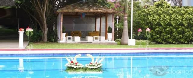 MATRIMONIO EN EL SUR — foto 1