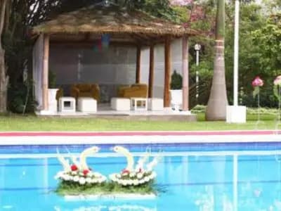 MATRIMONIO EN EL SUR