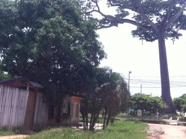 venta de terreno por ocacion — foto 2