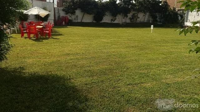 ALQUILO LOCAL COMERCIAL — foto 4