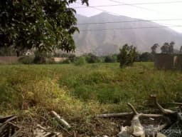 Terrenos Pachacamac limite Cieneguilla 2000m2 a $60m2