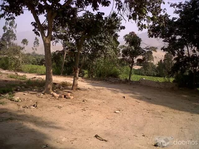 Terrenos Pachacamac limite Cieneguilla 2000m2 a $60m2 — foto 4