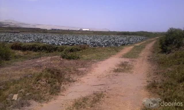 REMATO EN MOCHE 8,850 M2. Reg/.SUNARP, TRUJILLO — foto 2