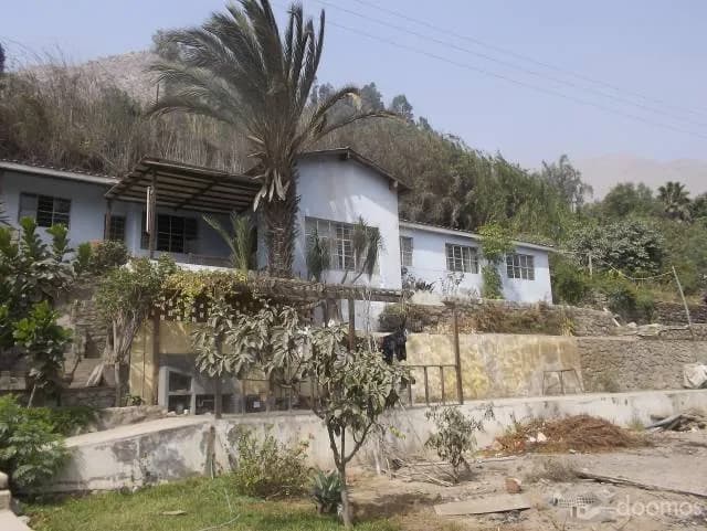 SE VENDE CASA A PRECIO DE TERRENO EN CHOSICA — foto 2