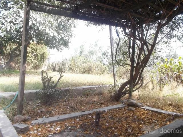 SE VENDE CASA A PRECIO DE TERRENO EN CHOSICA — foto 6