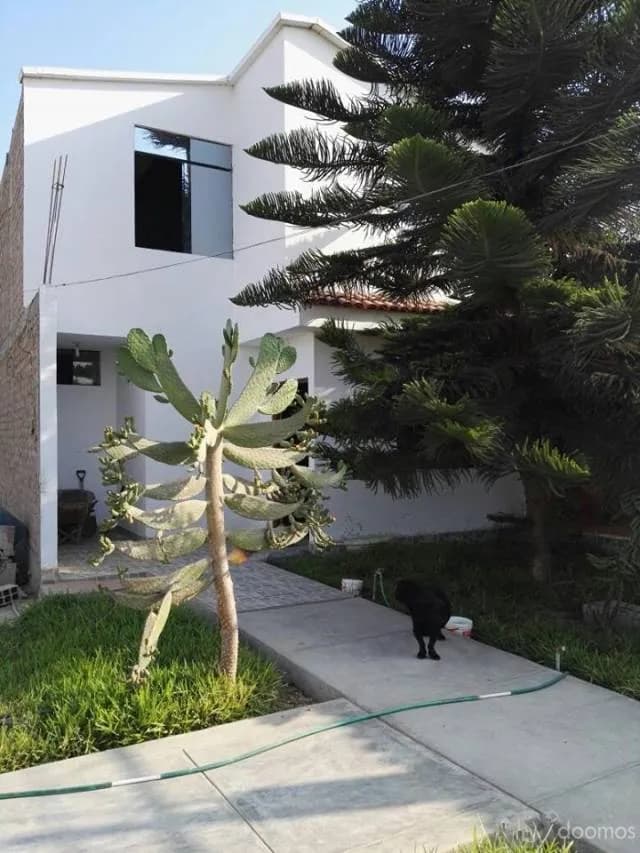 HERMOSO CONDOMINIO EN CHINCHA SUNAMPE — foto 4
