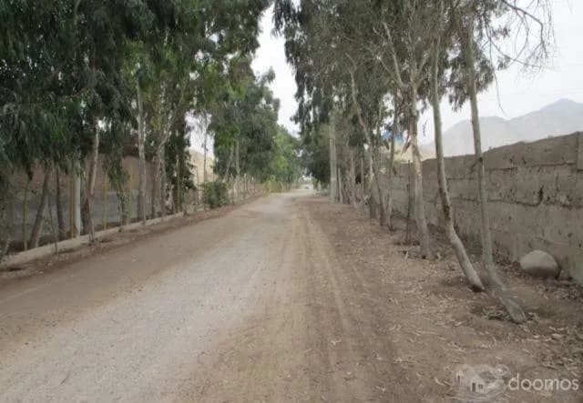 Huertos de Cieneguilla: Terreno Listo Para Construir — foto 5
