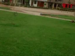 VENTA LOCAL COMERCIAL EN LOS OLIVOS