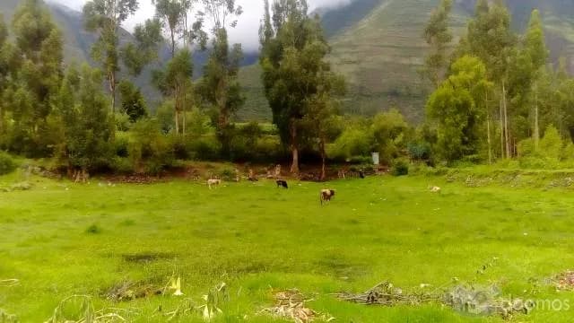 VENDO TERRENO EN CUZCO URUBAMBA-YUCAY — foto 2