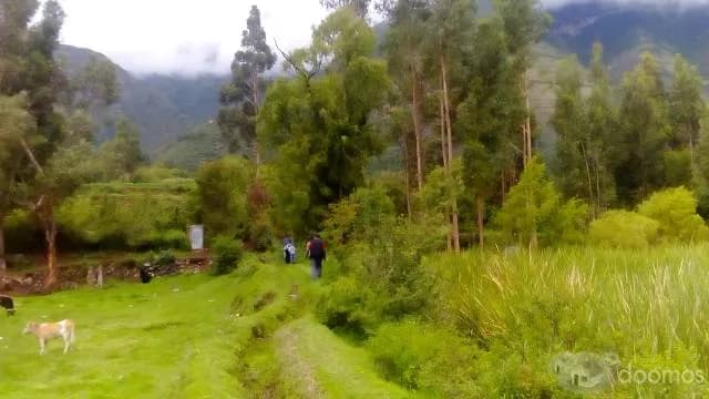 VENDO TERRENO EN CUZCO URUBAMBA-YUCAY — foto 3