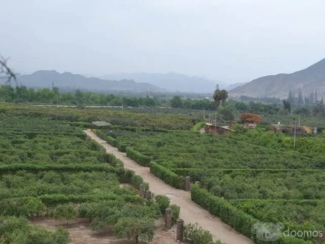 Lotes para Casa de Campo desde 740m2 en Huaral — foto 7