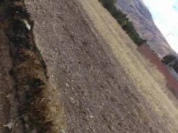 terreno temporal pillcopampa