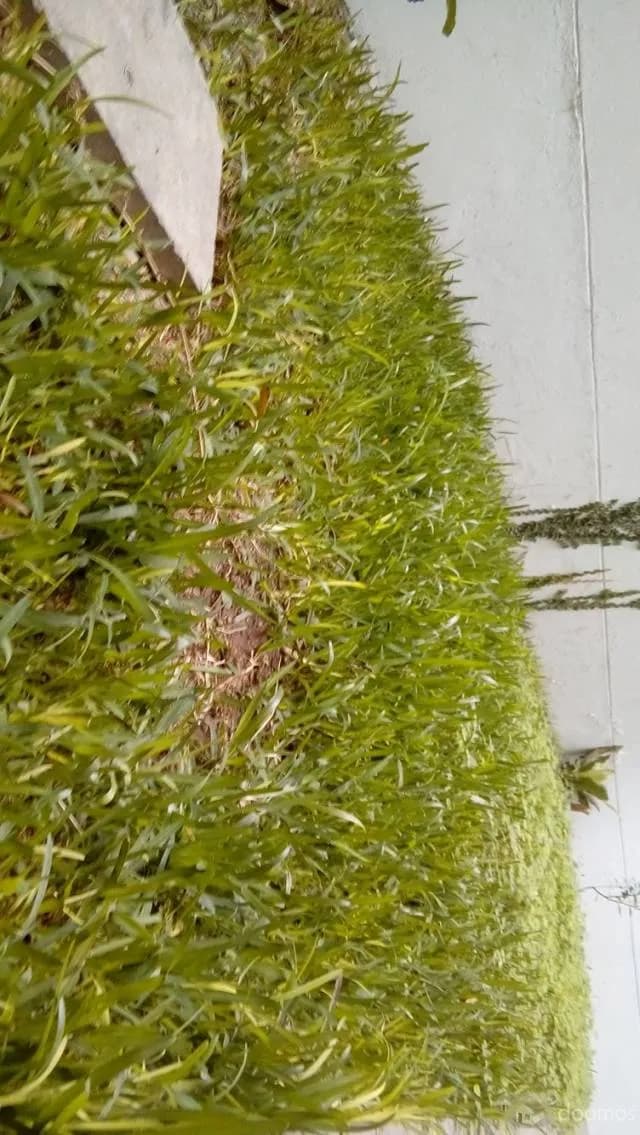 Alquilo departamento barato en San Miguel — foto 3
