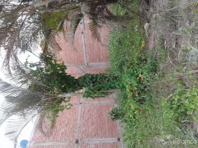 vendo lote de terreno en distrito de Chorrillos — foto 1