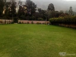 Alquiler de jardín para eventos