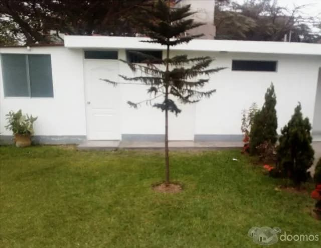 Alquiler de jardín para eventos — foto 4
