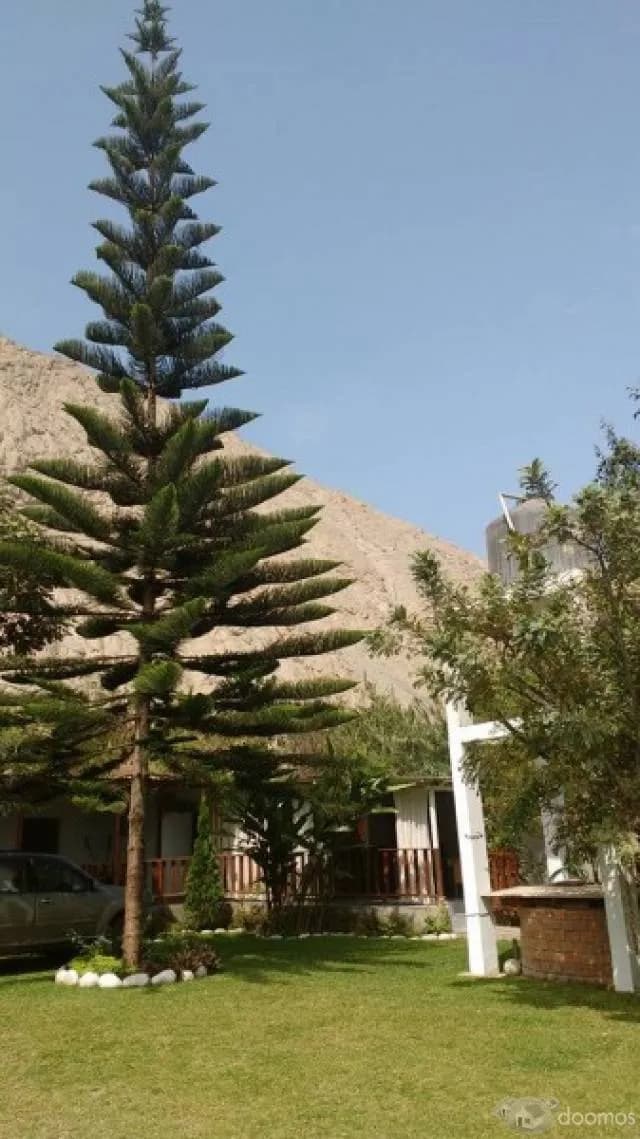 HERMOZA CASA DE CAMPO PARA TODO TIPO DE EVENTOS: MATRIMONIOS,BAUTIZOS,CUMPLEAÑOS,CAMPAMENTOS,ETC. — foto 3