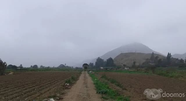 Terreno barato 2,000m2 con titulo para casa de Campo $50 - Cieneguilla — foto 6