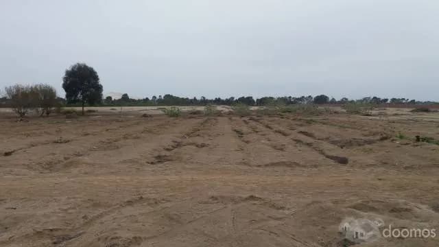 Terreno De 9.8 HA A 1 Km De Boulevard De Asia — foto 4