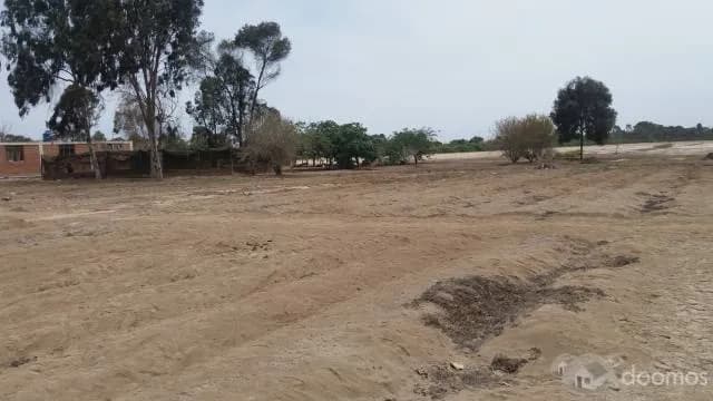 Terreno De 9.8 HA A 1 Km De Boulevard De Asia — foto 6