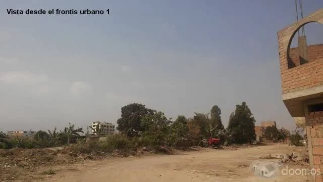OCASION LOTES DE 90M2 CARABAYLLO BUENA ZONA — foto 2