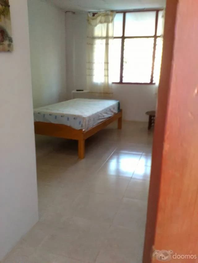 Alquilo Habitaciones — foto 4