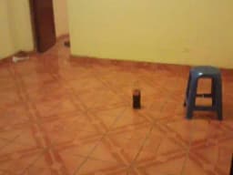 Alquiler de Departamento
