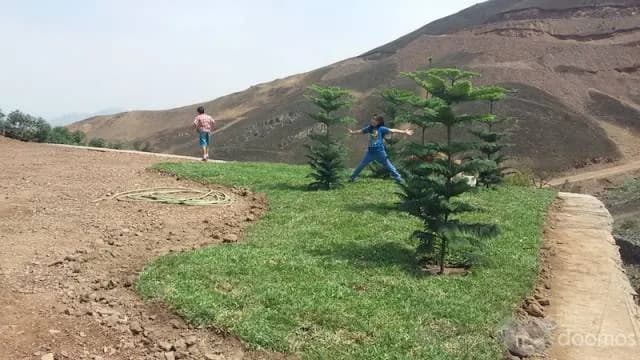 LOTES PACHACAMAC - TERRAZAS DE AMANCAES — foto 5