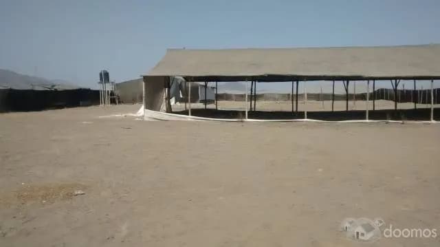 VENTA DE TERRENO INDUSTRIAL — foto 3
