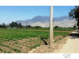 SE VENDE TERRENO EN ZONA URBANA PACHACAMAC (AVENIDA PAUL POBLET)